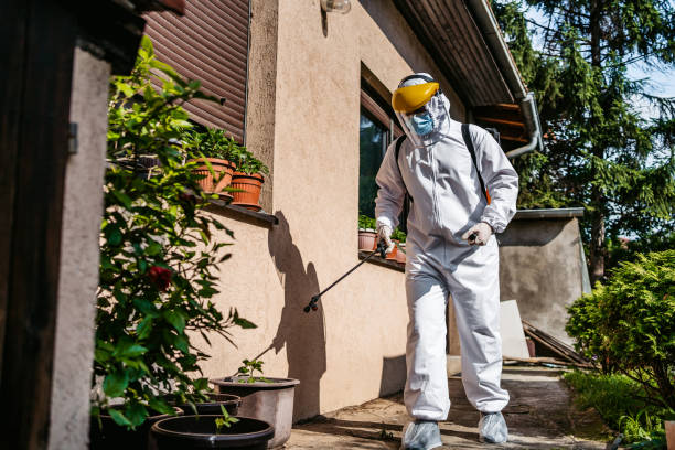 Best Pest Prevention Services  in Vilge St George, LA