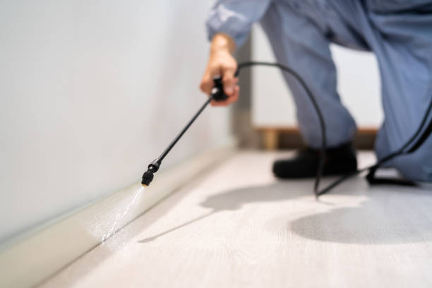 Best Pest Removal Services  in Vilge St George, LA