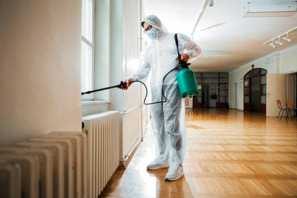 Best Ant Control Services  in Vilge St George, LA
